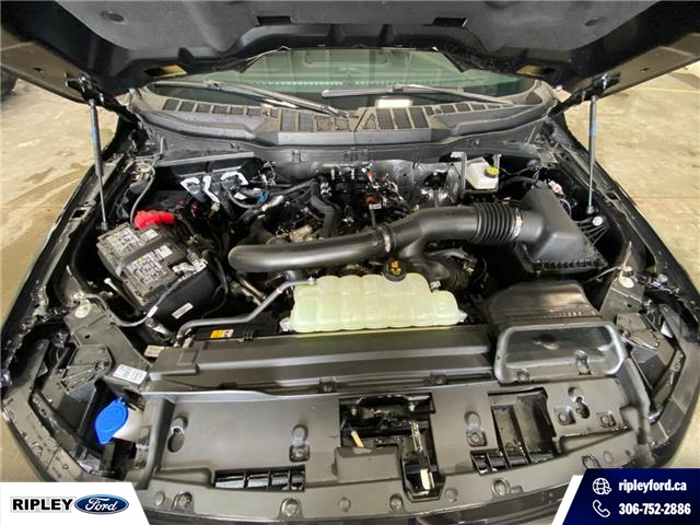 2026 Ford F-150 XLT (Stk: 26282) in Melfort - Image 12 of 19
