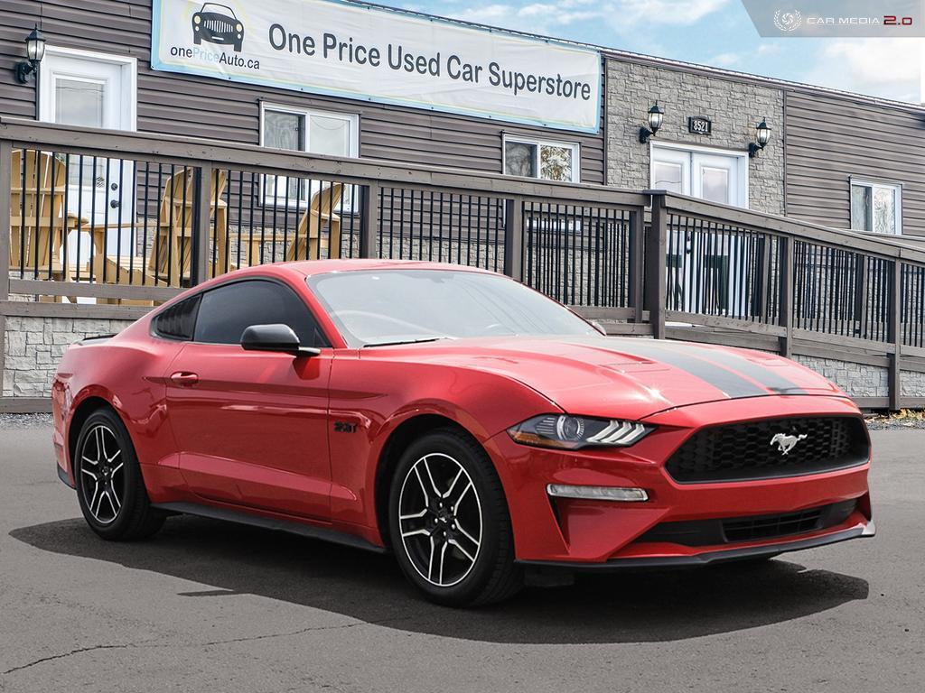 Mustang