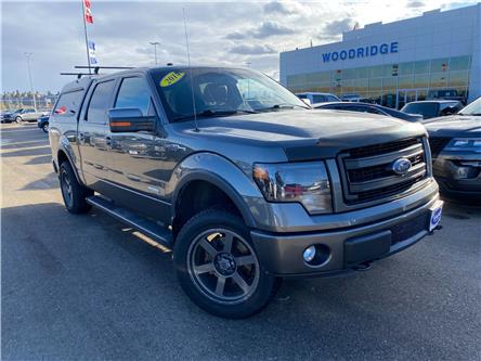 2014 Ford F-150 FX4 (Stk: 18036) in Calgary - Image 1 of 23