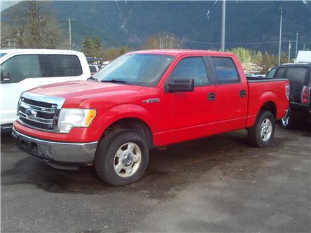 2013 Ford F-150  (Stk: 17U048) in Hope - Image 1 of 8