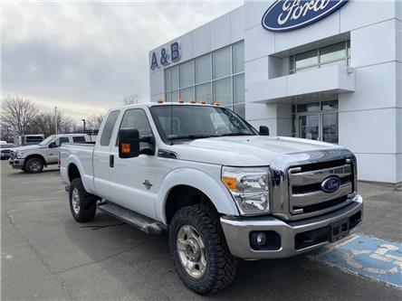 2015 Ford F-250  (Stk: P6443) in Perth - Image 1 of 15