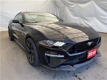 2019 Ford Mustang  (Stk: 2214151) in Thunder Bay - Image 1 of 18