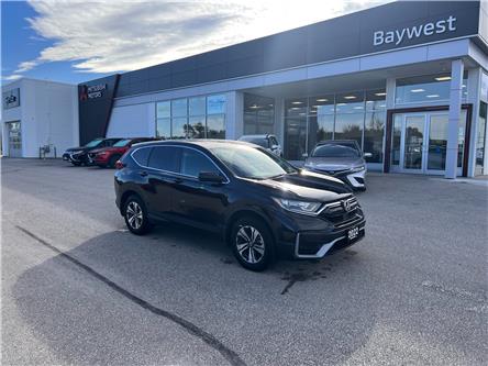 2022 Honda CR-V LX (Stk: PM22063) in Owen Sound - Image 1 of 14