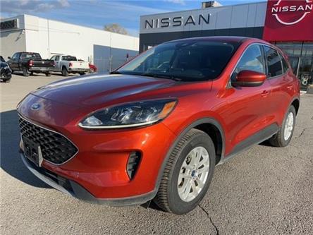 2020 Ford Escape SE (Stk: NI7874) in Cranbrook - Image 1 of 21