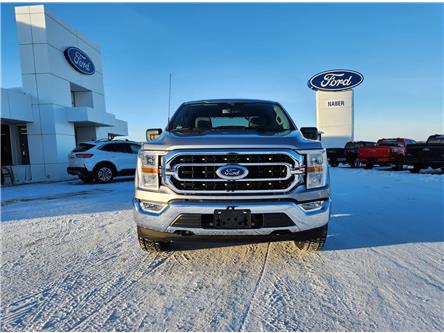 New Cars, SUVs, Trucks for Sale in Shellbrook | Naber Ford Sales