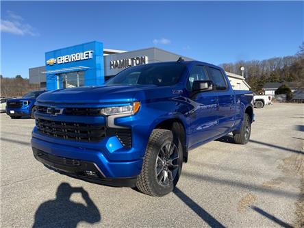 2023 Chevrolet Silverado 1500 RST (Stk: 11347) in Wakefield - Image 1 of 23