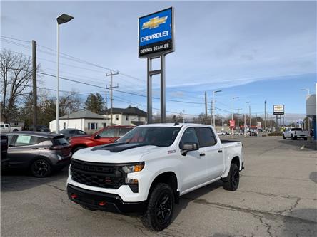 2023 Chevrolet Silverado 1500 Custom Trail Boss (Stk: TP145226) in Caledonia - Image 1 of 56