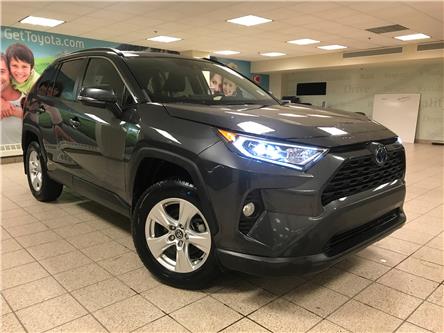 2019 Toyota RAV4 Hybrid XLE (Stk: 230260A) in Calgary - Image 1 of 12