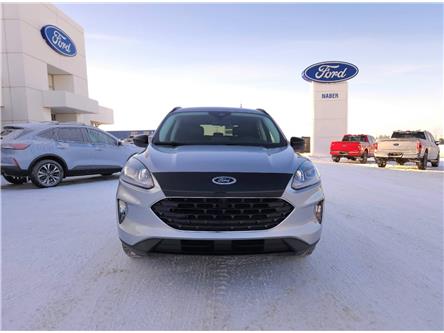 Used Cars, SUVs, Trucks for Sale in Shellbrook | Naber Ford Sales