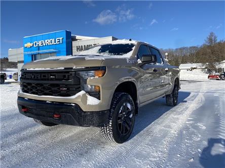 2023 Chevrolet Silverado 1500 Custom Trail Boss (Stk: 11418) in Wakefield - Image 1 of 21