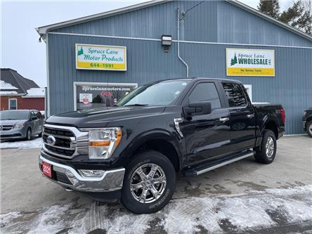 2021 Ford F-150 XLT (Stk: 10001) in Belmont - Image 1 of 21