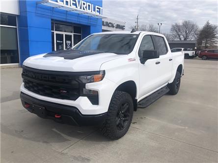 2023 Chevrolet Silverado 1500 Custom Trail Boss (Stk: TP099) in Blenheim - Image 1 of 26