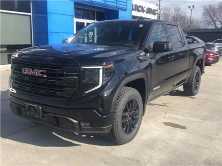 2023 GMC Sierra 1500 Elevation (Stk: P067) in Blenheim - Image 1 of 30