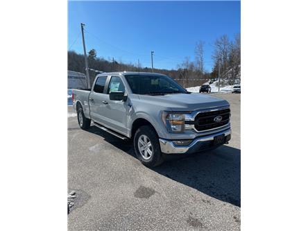 2023 Ford F-150 XLT (Stk: 5406) in Elliot Lake - Image 1 of 2
