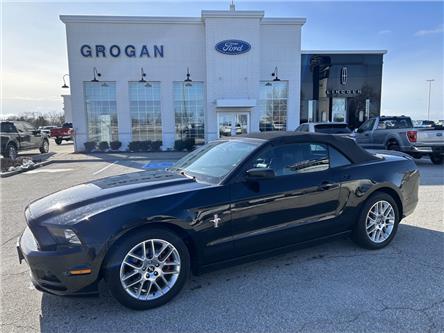 2014 Ford Mustang V6 Premium (Stk: 312002) in Watford - Image 1 of 17