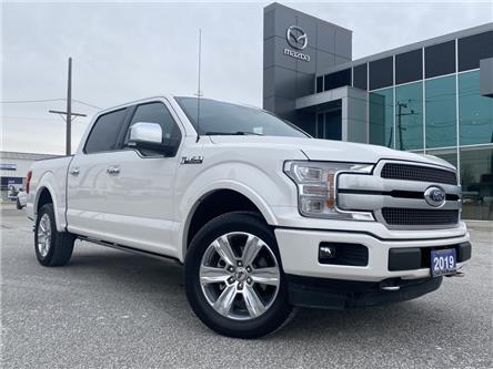 2019 Ford F-150  (Stk: UM3103) in Chatham - Image 1 of 24