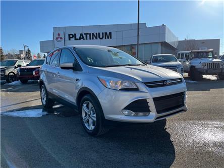 2015 Ford Escape SE (Stk: 8419) in Calgary - Image 1 of 17