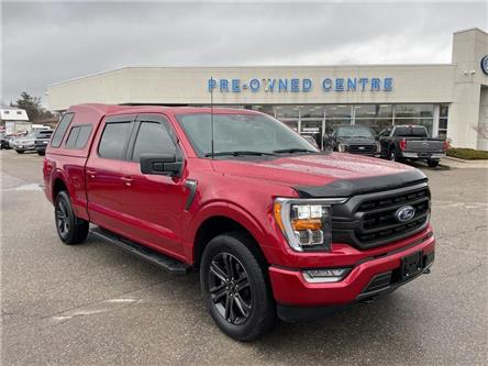 2022 Ford F-150  (Stk: P21260A) in Brampton - Image 1 of 16