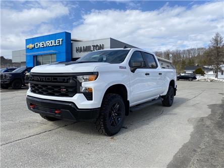 2023 Chevrolet Silverado 1500 Custom Trail Boss (Stk: 11501) in Wakefield - Image 1 of 22