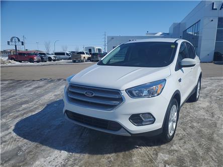 2019 Ford Escape SE (Stk: F2616B) in Prince Albert - Image 1 of 15