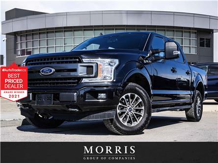 2019 Ford F-150 XL (Stk: ST5970) in Winnipeg - Image 1 of 31