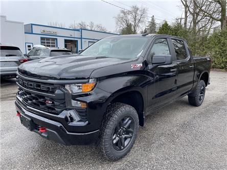 2023 Chevrolet Silverado 1500 Custom Trail Boss (Stk: PG196909) in Paisley - Image 1 of 22