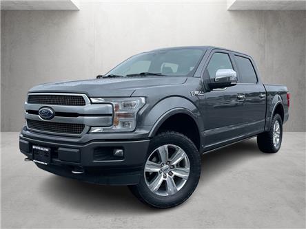2018 Ford F-150 Platinum (Stk: 238-8003A) in Chilliwack - Image 1 of 31