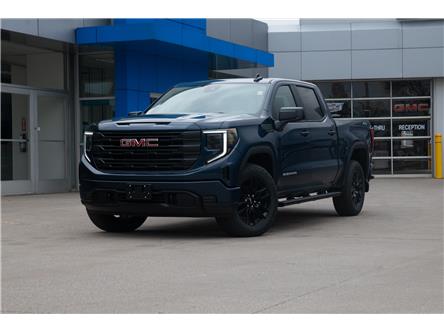 2023 GMC Sierra 1500 Pro (Stk: P208) in Chatham - Image 1 of 20