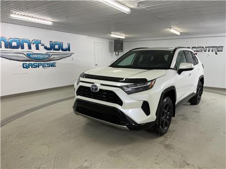 2022 Toyota RAV4 Hybrid SE (Stk: 22112a) in MONT-JOLI - Image 1 of 16
