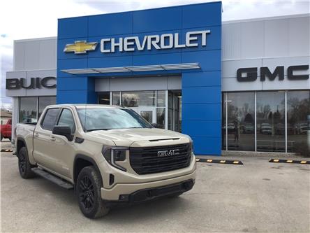 2023 GMC Sierra 1500 Elevation (Stk: 23061) in Langenburg - Image 1 of 24