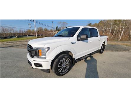 2019 Ford F-150  (Stk: F464A) in Miramichi - Image 1 of 13