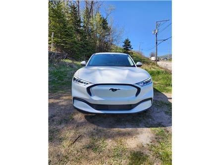 2021 Ford Mustang Mach-E Select (Stk: RA401) in La Malbaie - Image 1 of 6