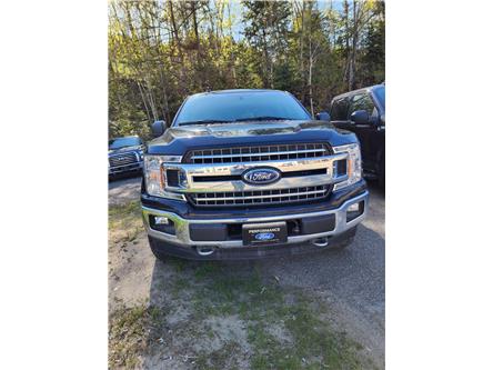 2020 Ford F-150  (Stk: 22067A) in La Malbaie - Image 1 of 5