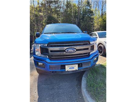2019 Ford F-150 XLT (Stk: 22031A) in La Malbaie - Image 1 of 5