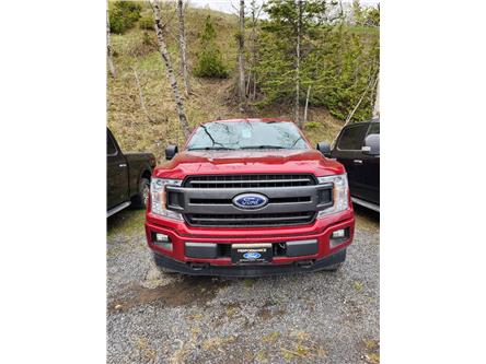 2017 Ford F-150  (Stk: RA-279) in La Malbaie - Image 1 of 5