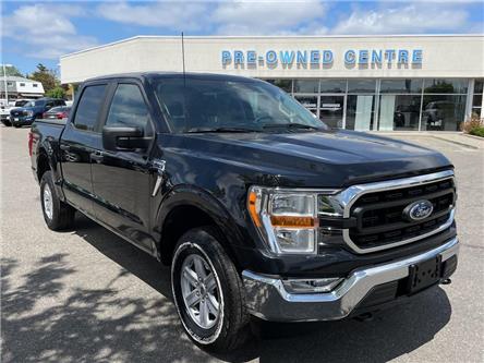 2021 Ford F-150  (Stk: M8913) in Brampton - Image 1 of 16
