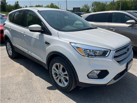 2019 Ford Escape SE (Stk: ES3582A) in Bobcaygeon - Image 1 of 4