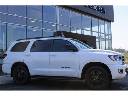 2019 Toyota Sequoia SR5 5.7L V8 (Stk: 231295B) in Grand Falls - Image 1 of 18