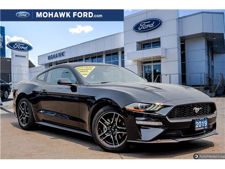 2019 Ford Mustang EcoBoost Premium (Stk: 21873A) in Hamilton - Image 1 of 25