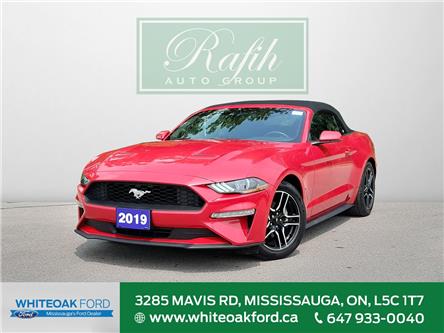 2019 Ford Mustang EcoBoost (Stk: E0015) in Mississauga - Image 1 of 30