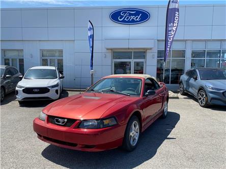 2002 Ford Mustang Base (Stk: U4770) in Matane - Image 1 of 15