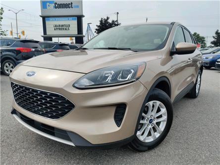 2020 Ford Escape SE in Ottawa - Image 1 of 28