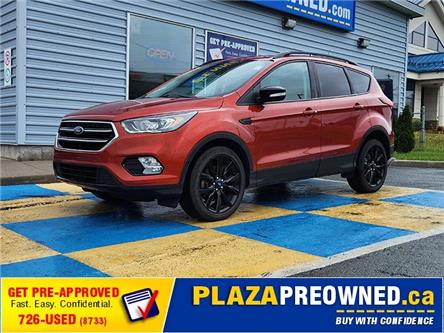 2019 Ford Escape Titanium (Stk: 43382A) in Mount Pearl - Image 1 of 16