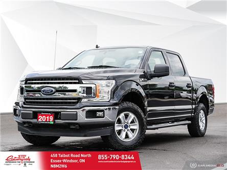 2019 Ford F-150 XLT (Stk: 61809) in Essex-Windsor - Image 1 of 26