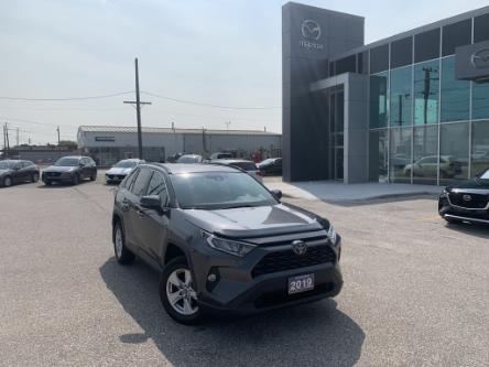 2019 Toyota RAV4 XLE (Stk: UM3197) in Chatham - Image 1 of 24