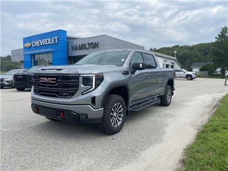 2023 GMC Sierra 1500 AT4 (Stk: 11677) in Wakefield - Image 1 of 25