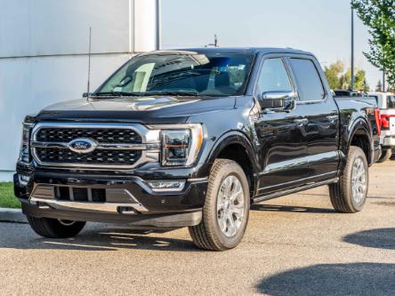 2023 Ford F-150 Platinum (Stk: P-851) in Calgary - Image 1 of 31
