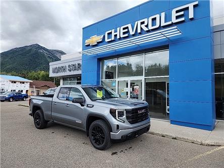 2023 GMC Sierra 1500 Elevation (Stk: PZ284540) in Fernie - Image 1 of 10