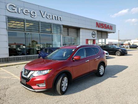 2018 Nissan Rogue SV (Stk: P3151) in Cambridge - Image 1 of 20