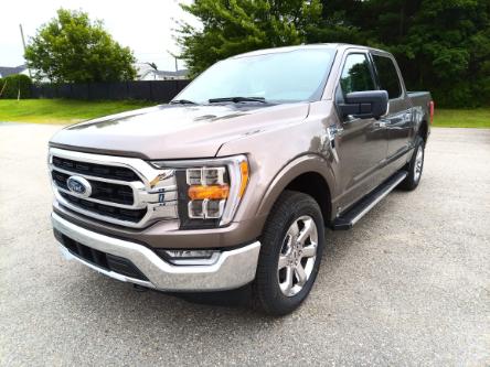 2023 Ford F-150 XLT (Stk: F610) in Miramichi - Image 1 of 12